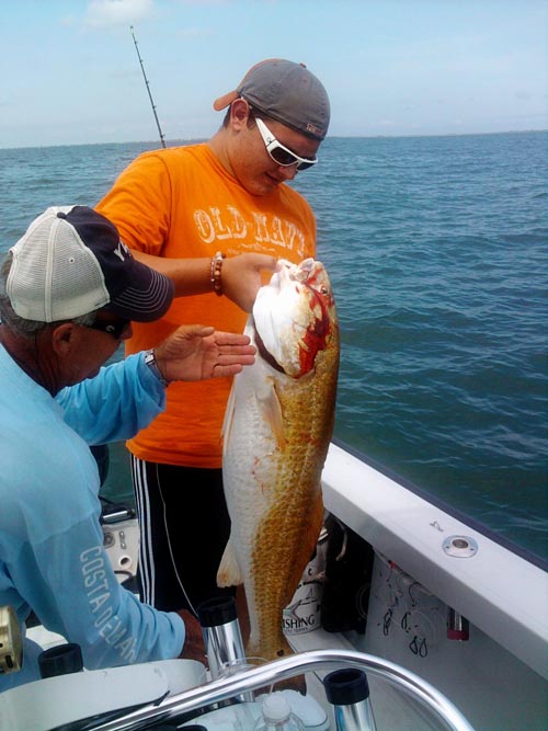  bolivar trophy fishing jamaica beach redfish freeport guides lake jackson fishing trips port lavaca charter matagorda bay fishing texas city fishing reports  